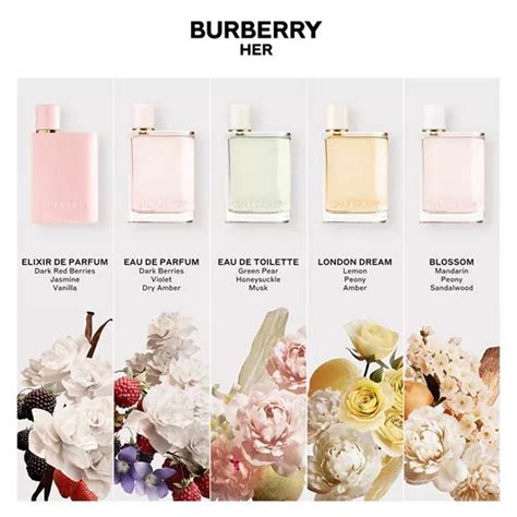 burberry her parfum fragrantica|best burberry perfume for her.